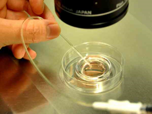 代孕儿子花费,不孕不育患者在兰州做一次试管婴儿需要多少钱！兰州医院做试