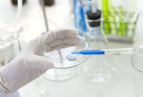 助孕包男孩价格,子宫萎缩一年?子宫萎缩后还会发生病变吗?