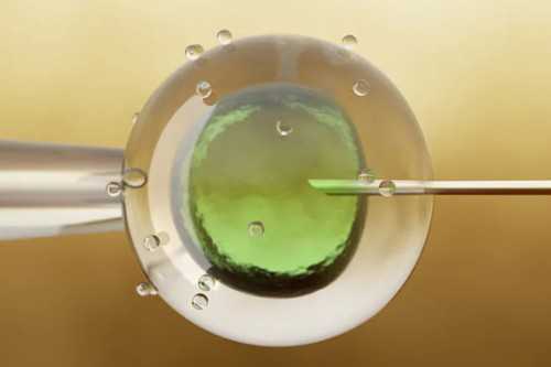 没有卵泡能做试管婴儿吗？