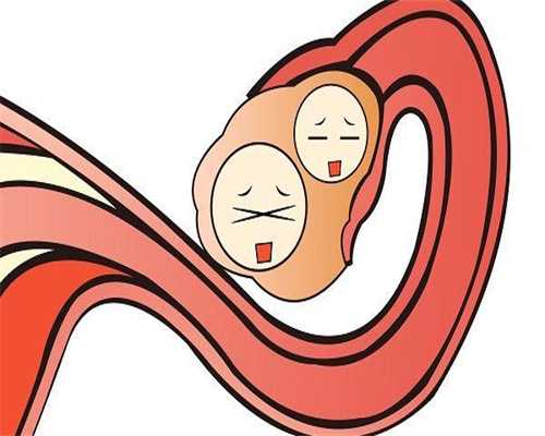 平顶山三代试管代生多少钱6个囊胚送检？三代试管代生多少钱囊胚检测要多久