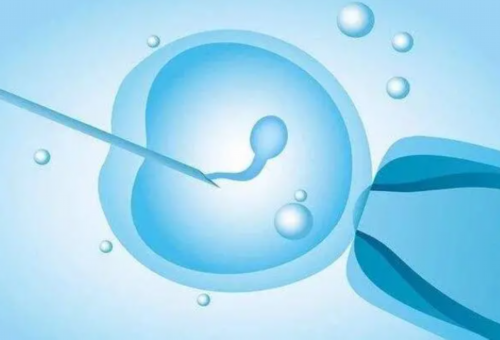 <strong>昆明供卵助孕包成功（昆明供卵费用）</strong>