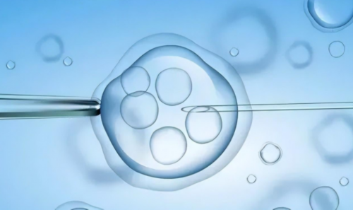 新方法快速鉴定精子“性别”