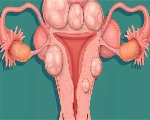 山东包生代生冷冻胚胎移植成功率高不高