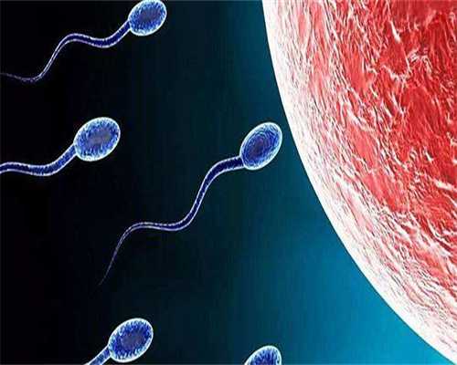 试管代孕预约网,用医院的精子试管多少钱！医院做试管婴儿多少钱！