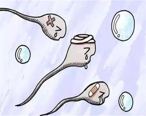 传承助孕包儿子_包生男孩价格低,多囊卵巢怀孕容易流产吗？有多囊卵巢怀孕了