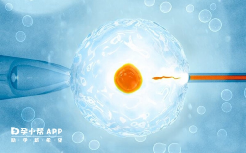 正规医院代孕,女性卵巢囊肿做试管婴儿成功有60%吗?